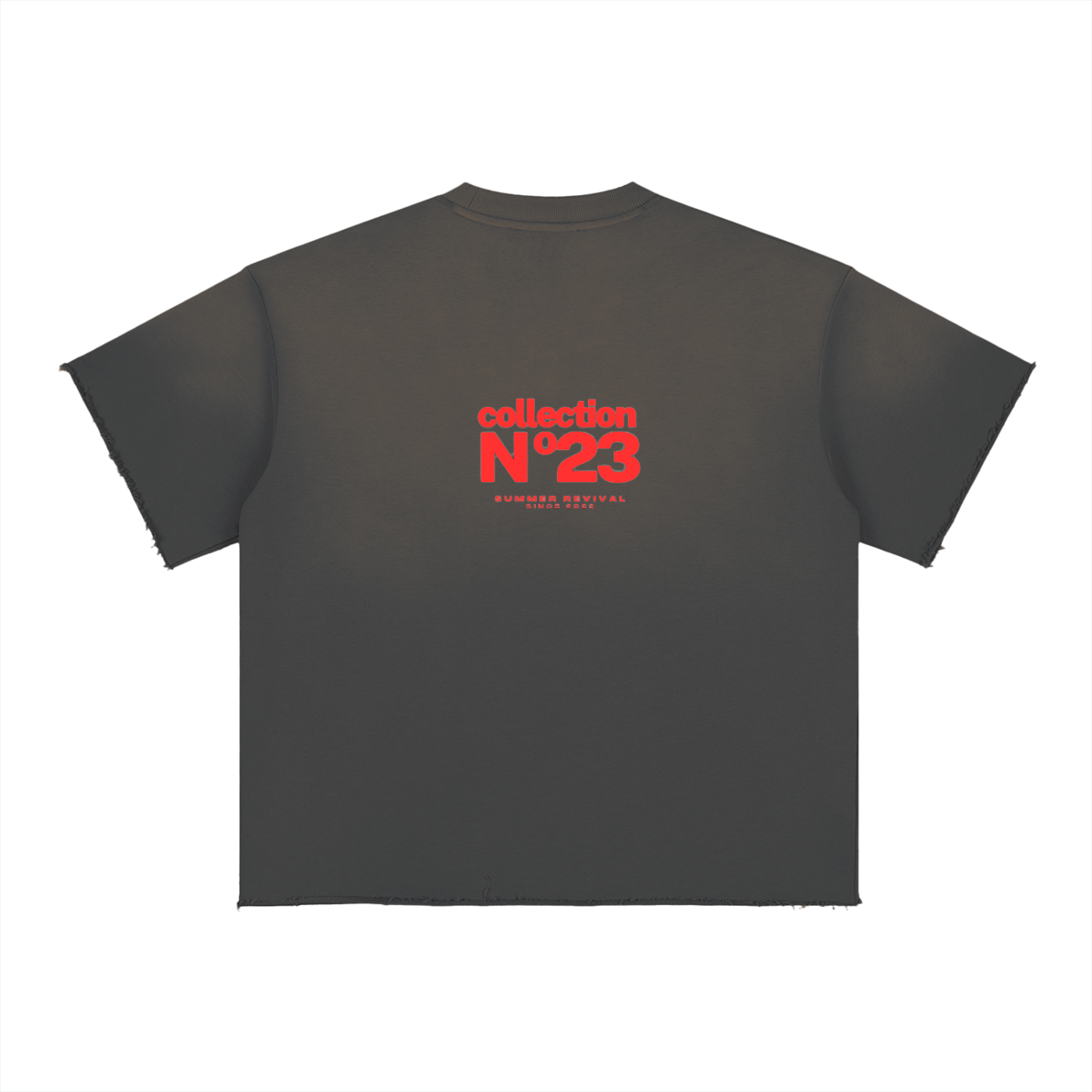 Sun Fade Raw Edge T-Shirt